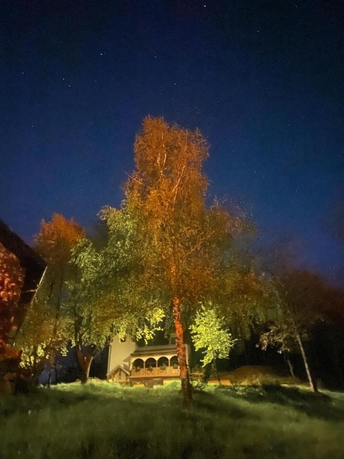 Kuca Za Odmor ,,Balkan” Crni Vrh Eksteriør bilde