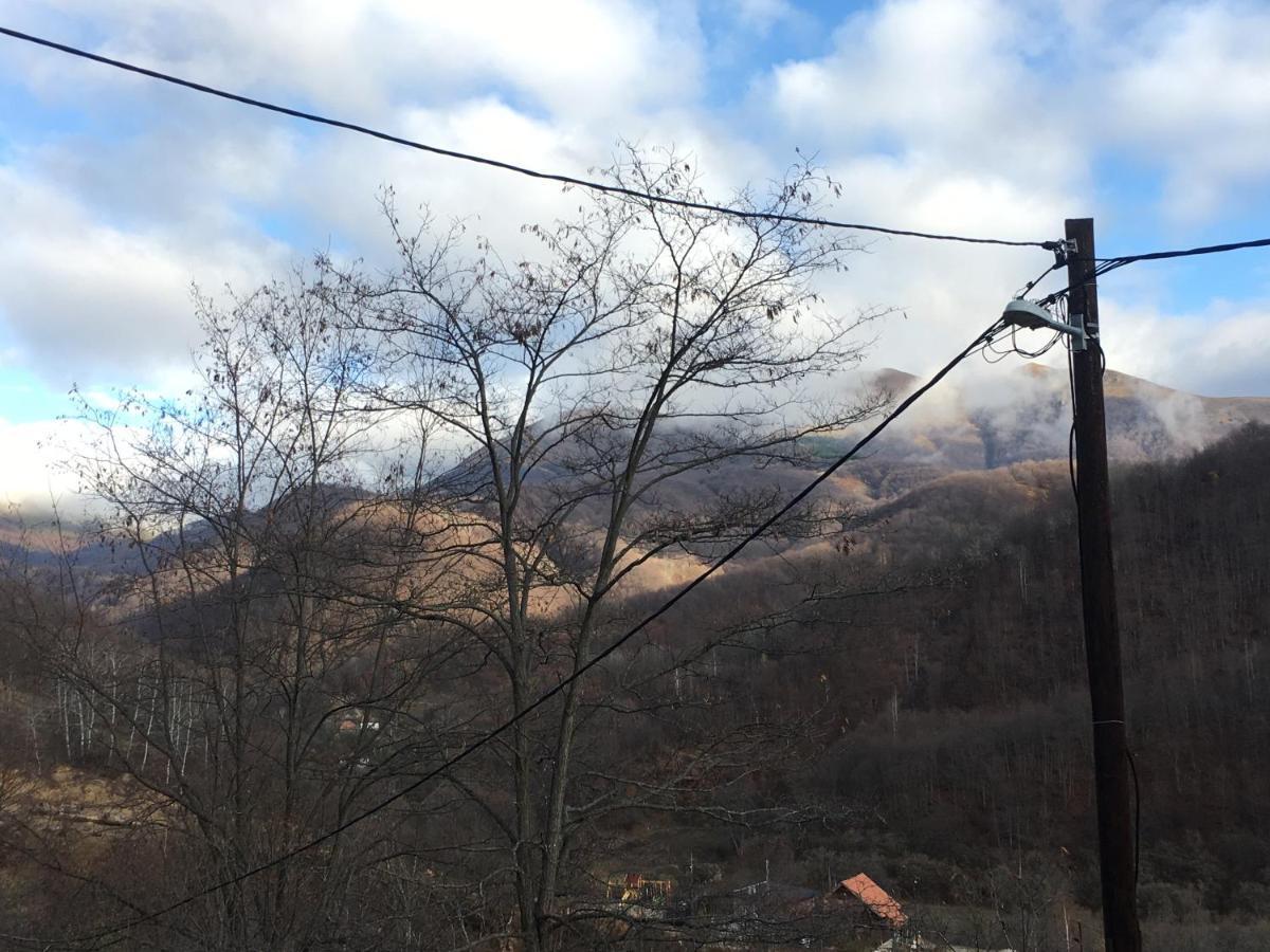 Kuca Za Odmor ,,Balkan” Crni Vrh Eksteriør bilde