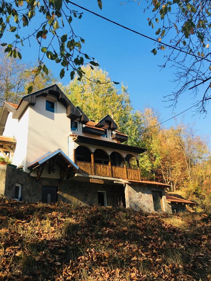 Kuca Za Odmor ,,Balkan” Crni Vrh Eksteriør bilde