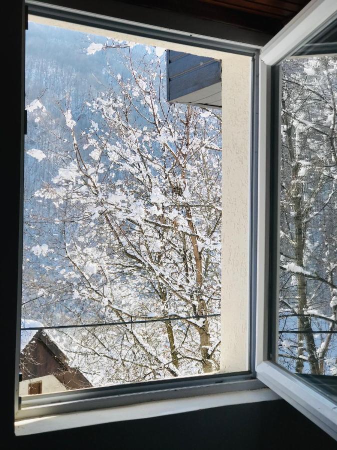 Kuca Za Odmor ,,Balkan” Crni Vrh Eksteriør bilde